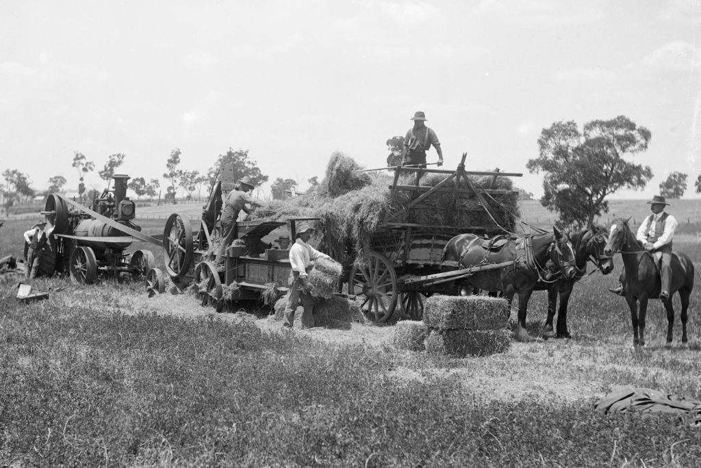 Black and white photograph of posed workers in a paddock working around machinery. The boss or overseer is mounted on a horse, an engine driver tends the steam portable engine while labourers fill the baler with hay and remove the bales. 